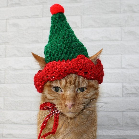 Hand Crafted Other - HAND CRAFTED Crochet Elf Cat Hat Costume Photo Prop Christmas Holiday